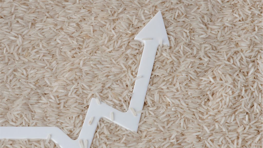 Nuevas líneas de financiamiento para arroceros: impulsando la sostenibilidad y el desarrollo rural