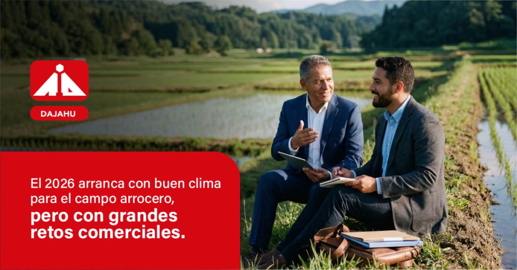El inicio de 2026 trae un clima ideal para el cultivo de arroz en Ecuador, pero la abundancia plantea desafíos en el mercado. Descubre cómo Industrias Dajahu apoya al sector.